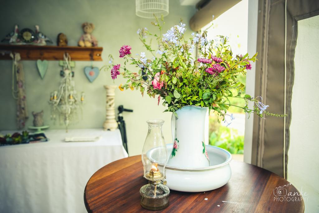 Oue Werf Country House 奥茨胡恩 外观 照片